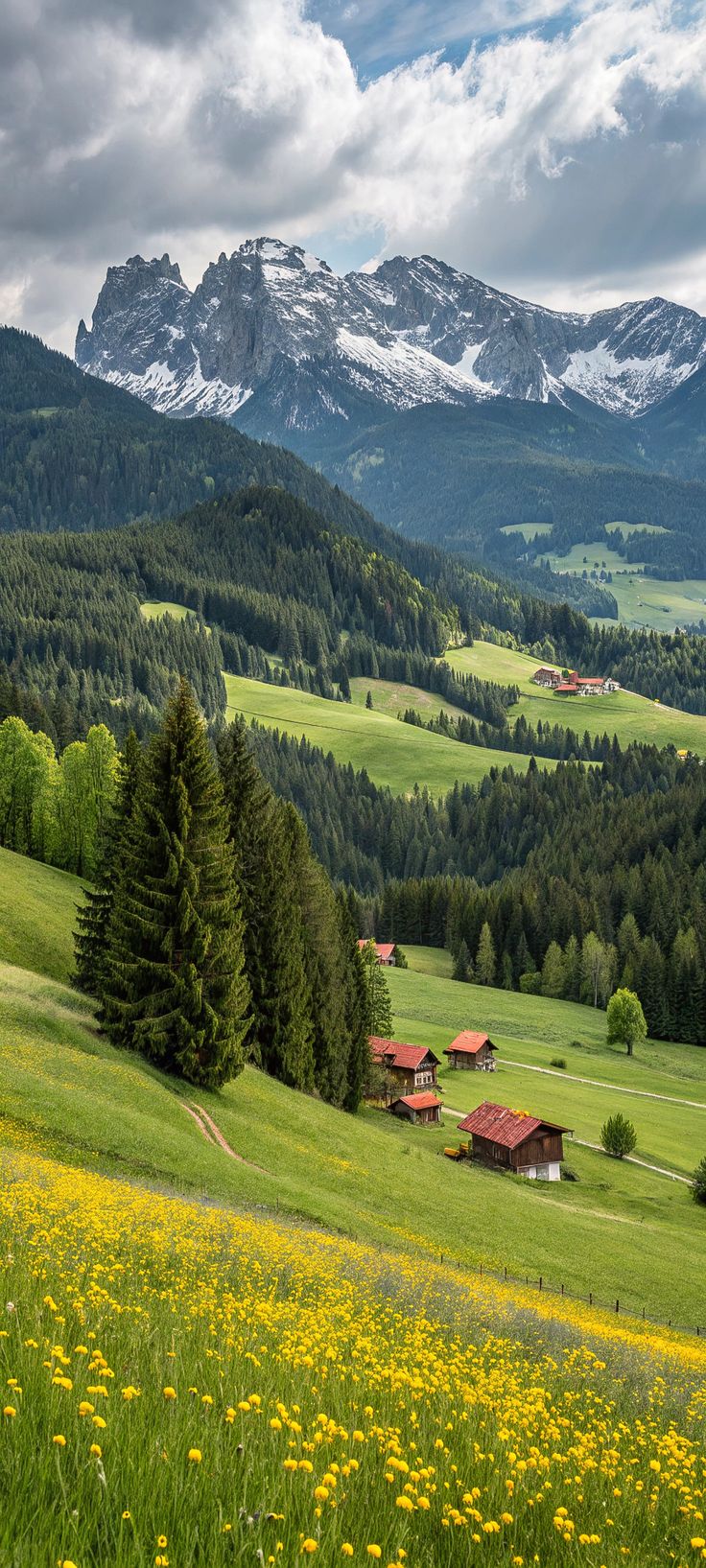 A calmer landscape representing the feeling of arriving before asking for complete stillness
