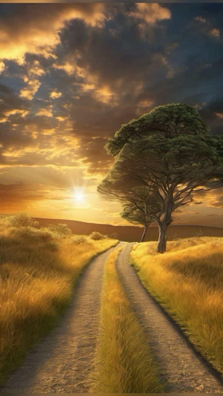 夕陽下，一棵樹立在金黃色草地旁，細窄土路往前延伸